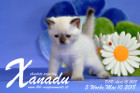Xanadu ist 5 Wochen alt ( 10.05.2018 )