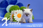 Xanadu ist 5 Wochen alt ( 10.05.2018 )