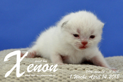 Xenon ist 1 Woche alt ( 14.04.2018 )