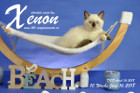 Xenon ist 10 Wochen alt ( 16.06.2018 )