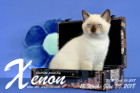 Xenon ist 12 Wochen alt ( 30.06.2018 )