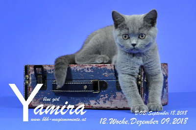 Yamira ist 12 Wochen alt ( 09.12.2018 )