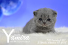 Yamira ist 3 Wochen alt ( 07.10.2018 )