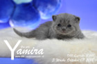 Yamira ist 3 Wochen alt ( 07.10.2018 )
