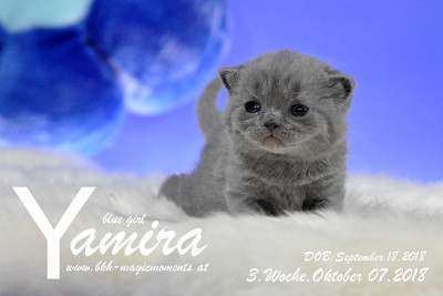 Yamira ist 3 Wochen alt ( 07.10.2018 )