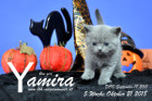 Yamira ist 5 Wochen alt ( 21.10.2018 )