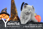 Yamira ist 5 Wochen alt ( 21.10.2018 )