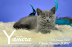 Yamira ist 9 Wochen alt ( 19.11.2018 )