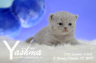 Yashma ist 3 Wochen alt ( 07.10.2018 )