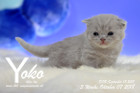 Yoko ist 3 Wochen alt ( 07.10.2018 )