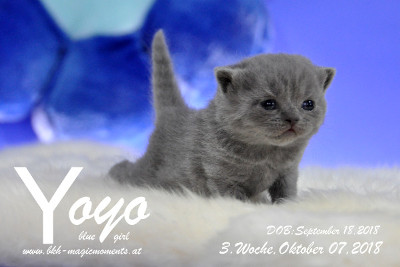 Yoyo ist 3 Wochen alt ( 07.10.2018 )