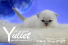Yuliet ist 3 Wochen alt ( 07.10.2018 )