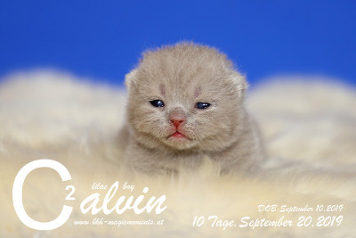 Calvin ist 10 Tage alt ( 20.09.2019 )