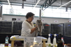 Mary Lou bei TICA Richterin Mary-Lise de Landtsheer aus Belgien