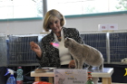 Mary Lou bei der TICA Weltjahresrichterin 2015 Pamela Barrett aus den USA