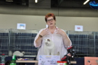 Mary Rose bekommt bei Phillipa Holmes ihre Auszeichnung für das 7.beste Kitten der Show