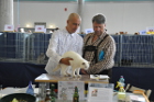 Mary Rose bei TICA Richter Steven Savant aus den USA