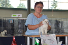 Mary Rose bei TICA Richterin Monika Dany aus Österreich