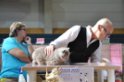 Mumin bei Tica Richter Jean Marc Lagarde aus Frankreich