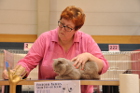Mumin bei Tica Richterin Phillipa Holmes aus England