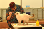 Oscar bei Tica Richterin Phillipa Holmes aus England