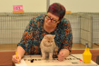 Ronja bei Tica Richterin Phillipa Holmes aus England