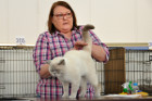 Oscar bei Tica Richterin Beverly Elian aus Rumänien