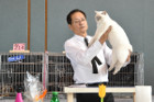 Mary Rose bei Tica Richter Yukimasa Hattori aus Japan