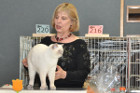 Mary Rose bei Tica Richterin Pamela Barrett aus den USA