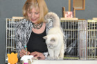 Oscar bei Tica Richterin Pamela Barrett aus den USA