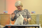Oscar bei Tica Richterin Sue Hard-Jones aus England