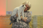 Oscar bei Tica Richterin Sue Hard-Jones aus England