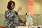 Oscar bei Tica Richterin Jane Allen aus England