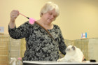 Oscar bei Tica Richterin Sue Hard-Jones aus England