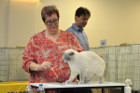 Oscar bei Tica Richterin Phillipa Holmes aus England