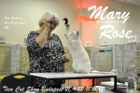 Mary Rose bei Tica Richterin Sue Hart-Jones aus England