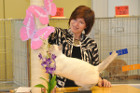 Mary Rose bei Tica Richterin Laura Cunningham aus den USA
