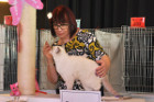 Mary Rose bei Tica Richterin Jane Allen aus England
