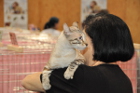 Züchterkollegen mit ihren Katzen
