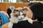 Züchterkollegen mit ihren Katzen
