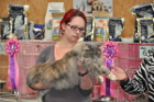 Die besten Katzen der gesamten Show werden am Ende prämiert