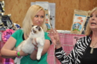 Die besten Katzen der gesamten Show werden am Ende prämiert