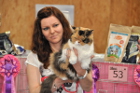 Die besten Katzen der gesamten Show werden am Ende prämiert