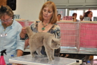 Mumin bei Tica Richterin Pamela Barrett aus den USA