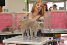 Mumin bei Tica Richterin Pamela Barrett aus den USA