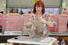 Mumin bei Tica Richterin Jane Allen aus England