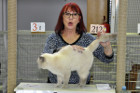 Oscar bei Tica Richterin Jane Allen aus England