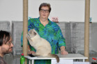 Oscar bei Tica Richterin Phillipa Holmes aus England