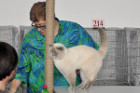 Oscar bei Tica Richterin Phillipa Holmes aus England