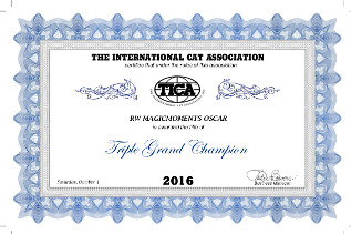 Oscar erreichte auf dieser Show seinen Tica Titel Triple Grand Champion